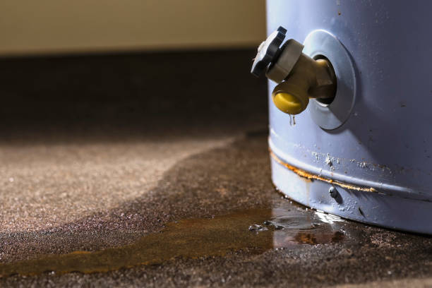 Best Flood damage cleanup  in Little Falls, MN
