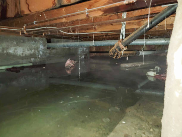Local water damage restoration in Little Falls, MN