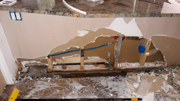 Best Ceiling water damage repair  in Little Falls, MN