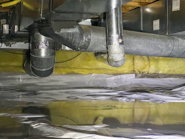Best Professional water damage repair  in Little Falls, MN