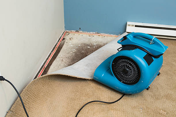Best Residential water damage restoration  in Little Falls, MN